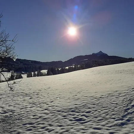 Ferienwohnung Mit Dampfbad Wertach